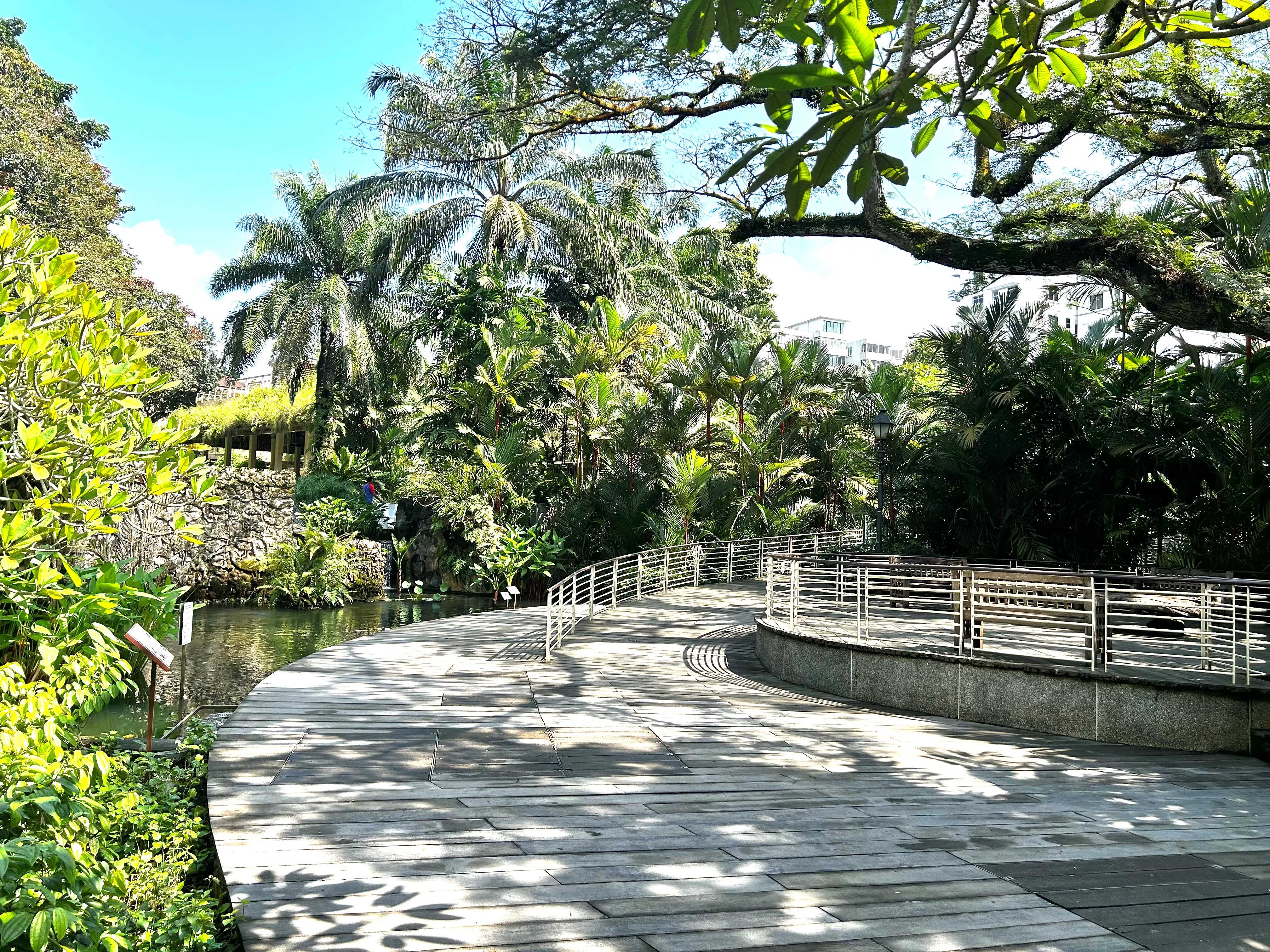 This is the pond near Tanglin Entrance, which will lead you to Saraca Stream.